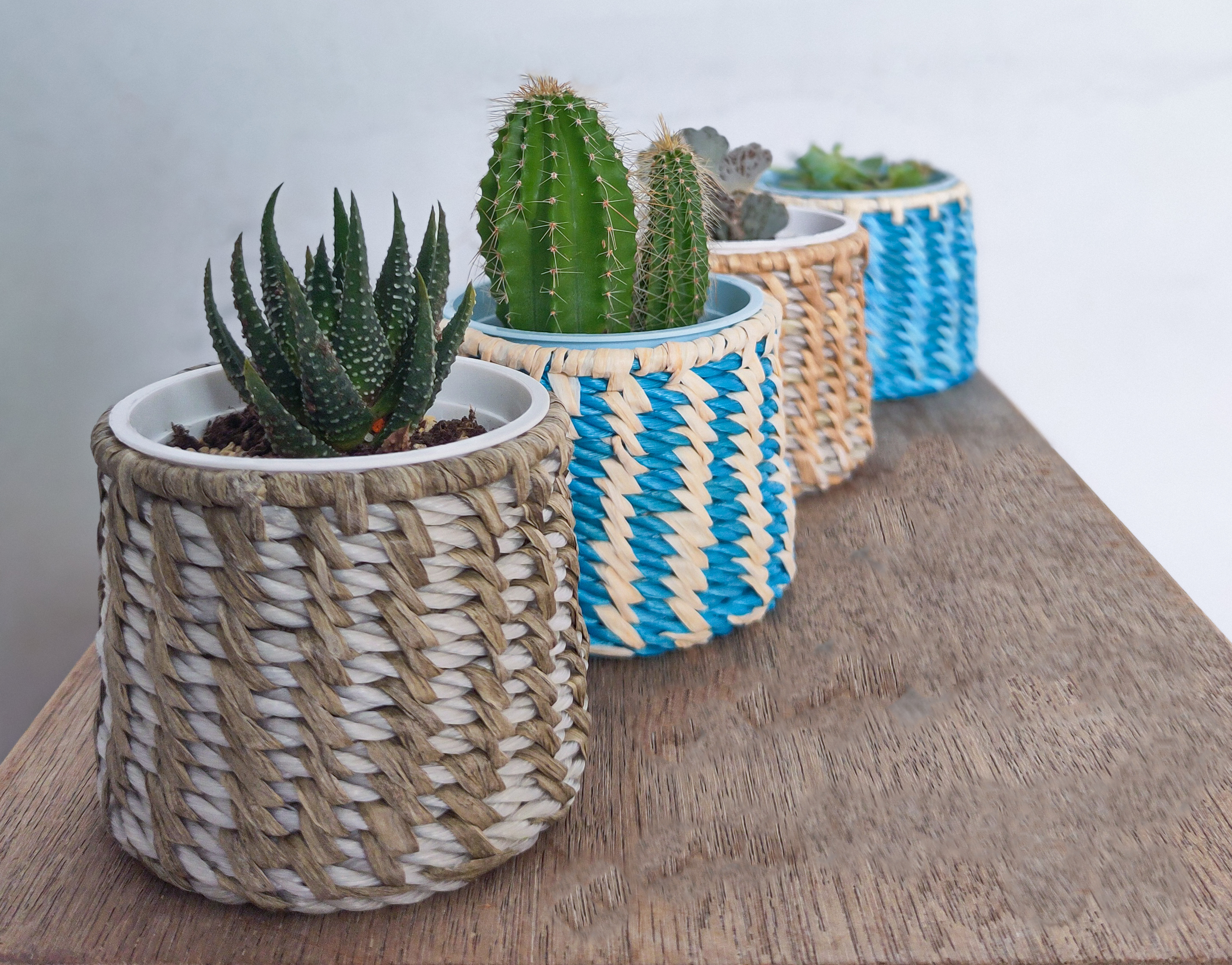 這些海廢再生設計永續又有型！