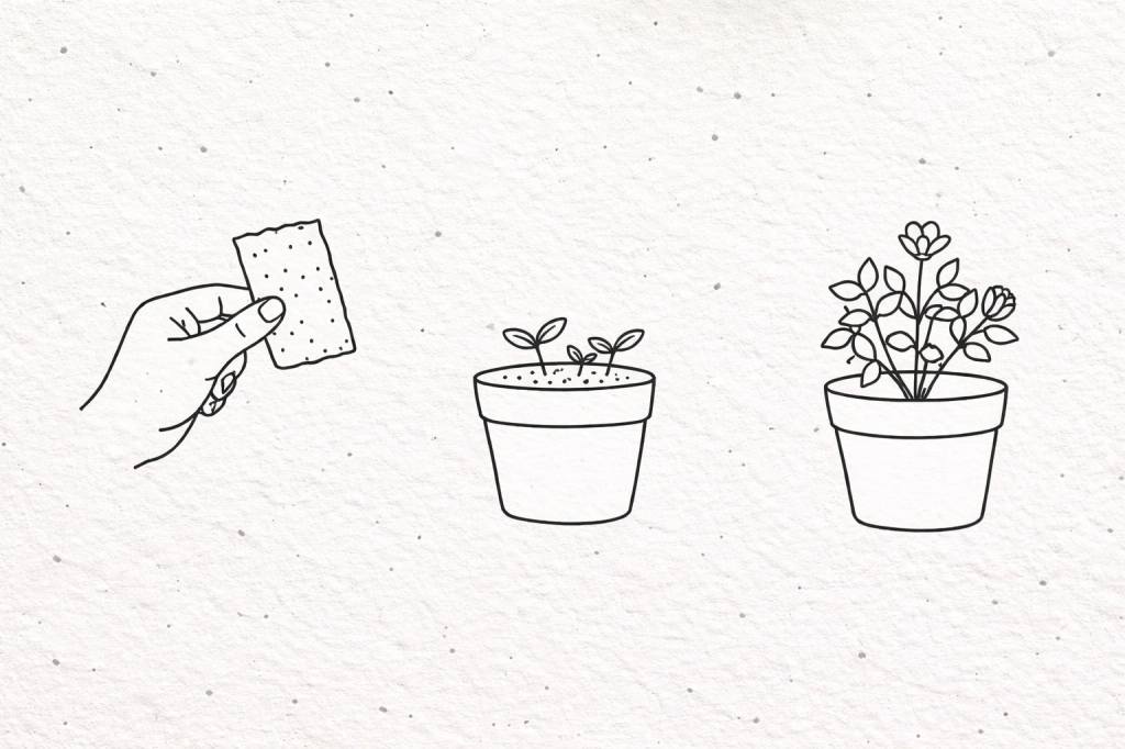 當永續變成禮贈品：種子卡真的被完成了嗎？